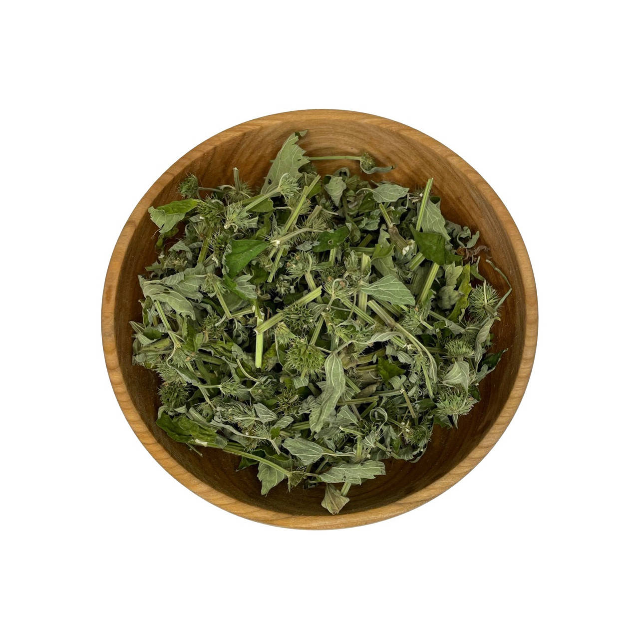 

Зюзник европейский