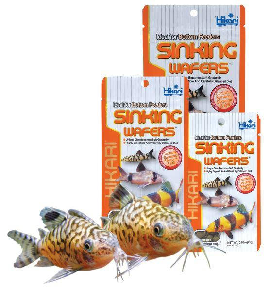 

Корм для сомиков коридорасов и других донных рыб Hikari Tropical Sinking Wafers
