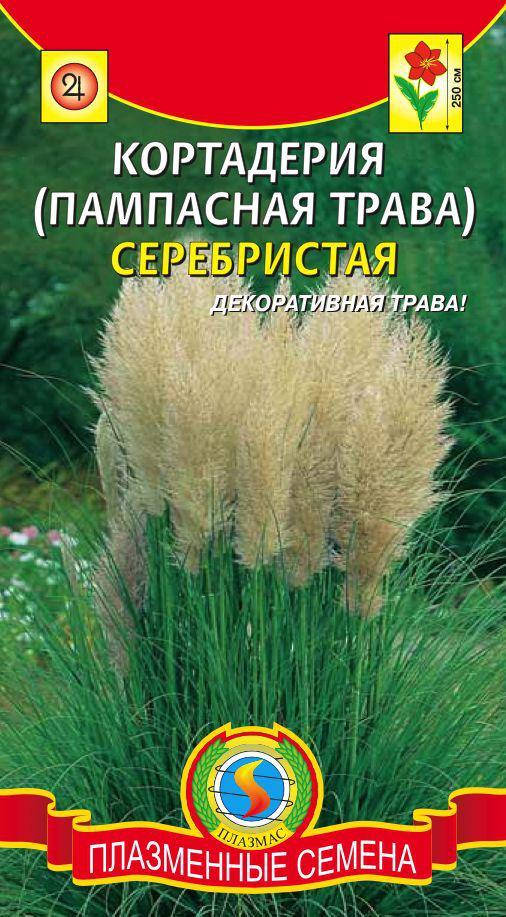 

Кортадерия (Пампасная трава) Серебристая 0,01 г (Плазменные семена)