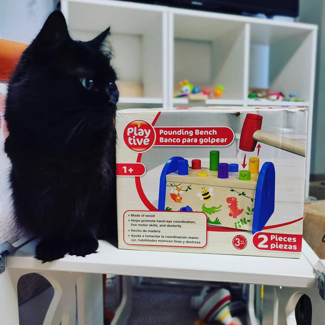 

Деревянная игрушка стучалка с молотком 2 эл PlayTive (Германия), Белый