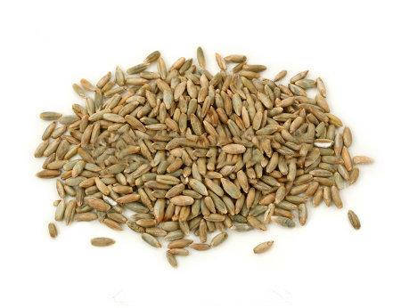 

Рожь (Жито) 1 кг