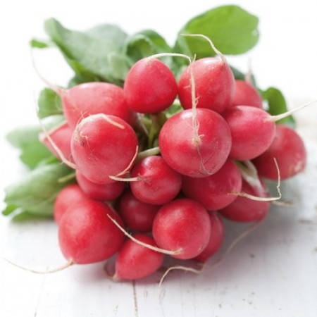 

Редис РОНДИЛ | RONDEEL Rijk Zwaan 50 гр