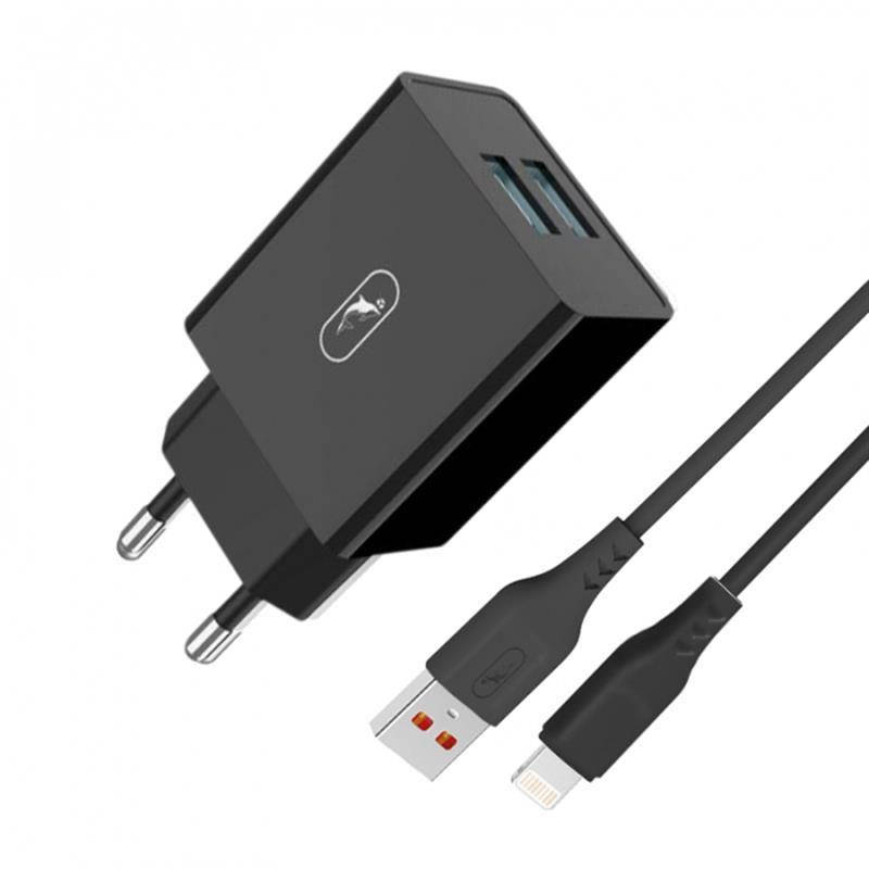 

Зарядное устройство SkyDolphin SC30L (2USB, 2.1A) Black (MZP-000170) + кабель Lightning, Черный