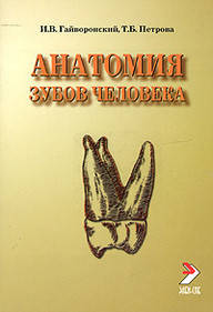 

Гайворонский И.В. Анатомия зубов человека 2019 год