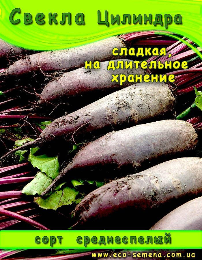 

Семена Свекла столовая Цилиндра / 100 г