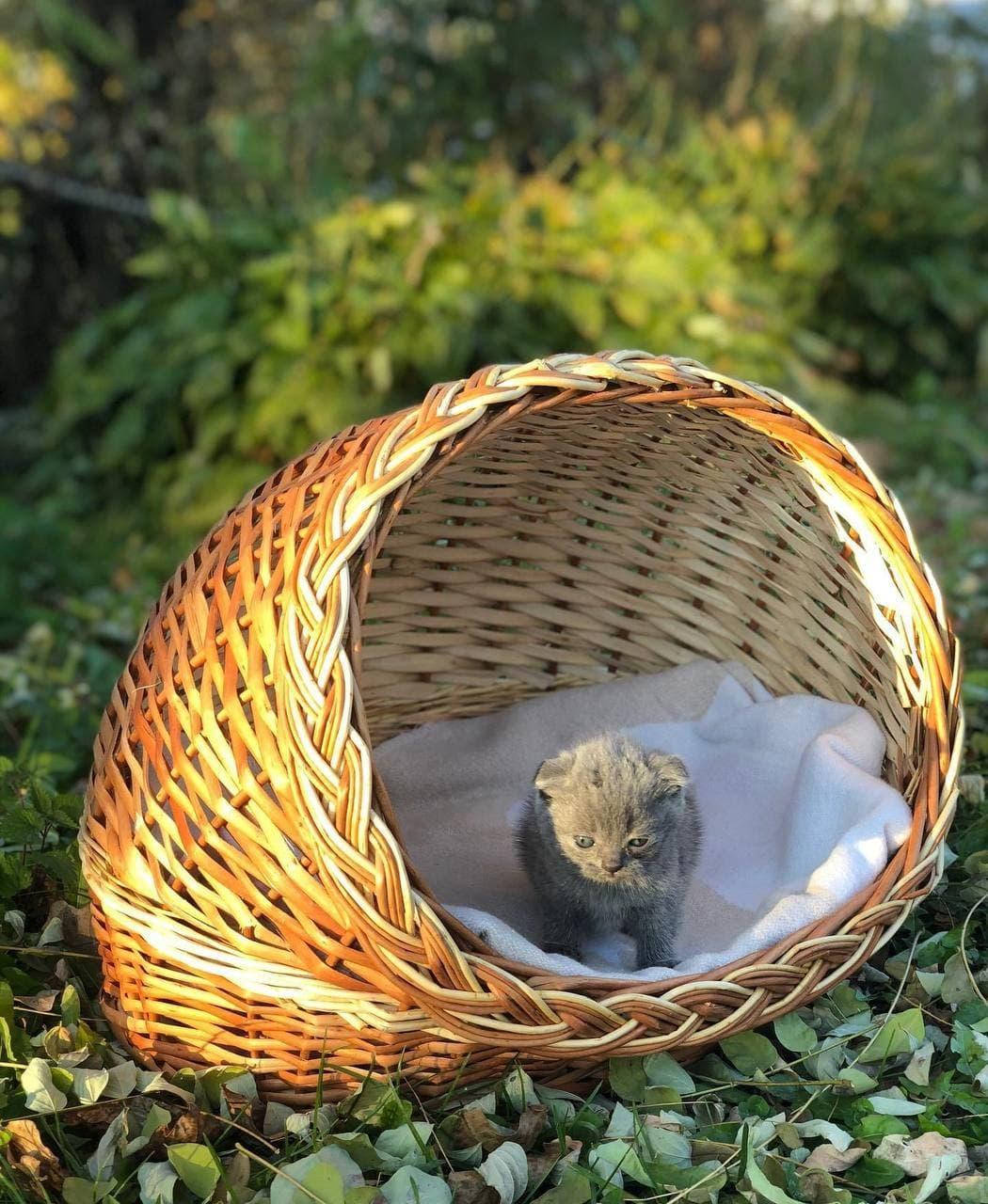 

Плетеный дом для кошки