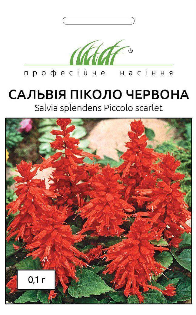 

Профсемена. Сальвия Пиколо Красная, (Фасовка 0.1 г.), Красный