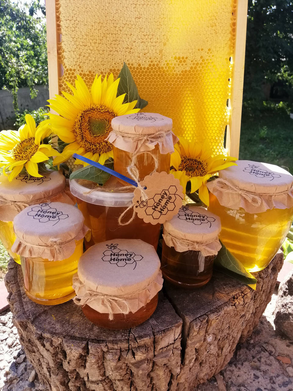 

Натуральный подсолнечный мед 1л (1400г)