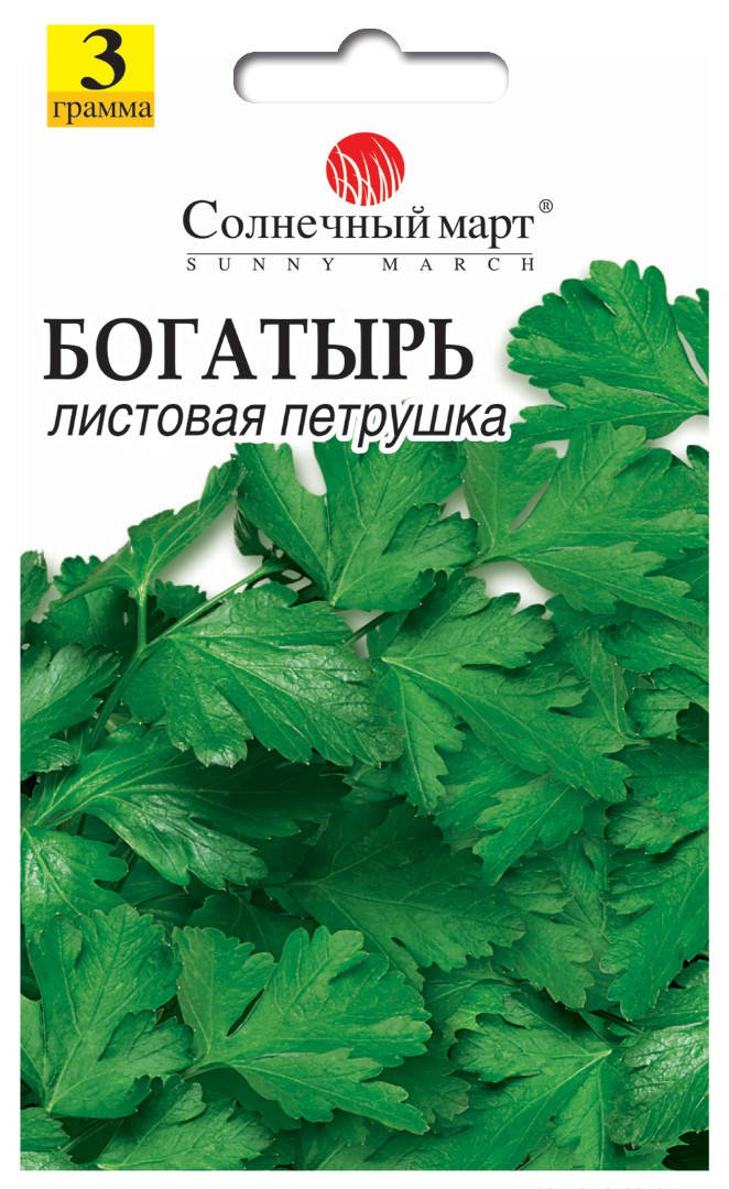 

Петрушка Богатырь, 3г