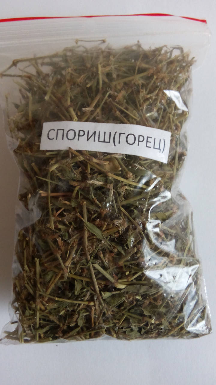 

Трава горец птичий спорыш