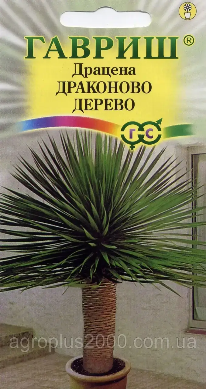 

Семена Драцена Драконово дерево 3 сем Гавриш, Зелёный