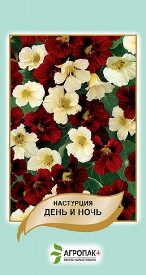 Настурция день ночь Настурция день ночь