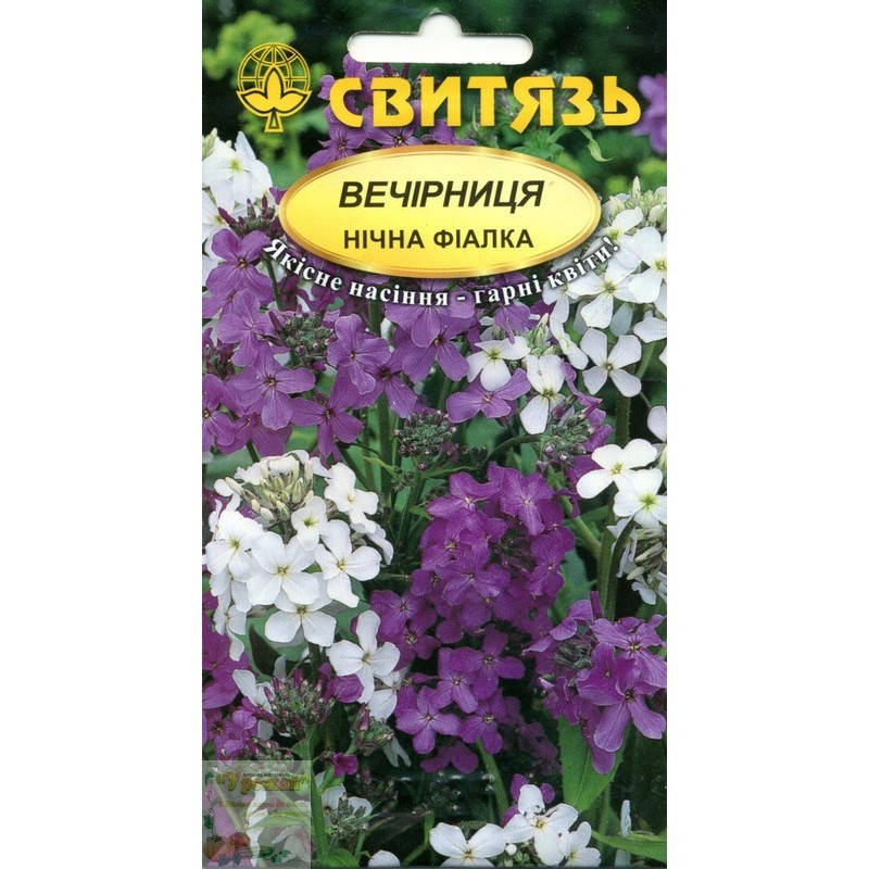 

Семена цветы Вечерница ночная фиалка, 0,5 г