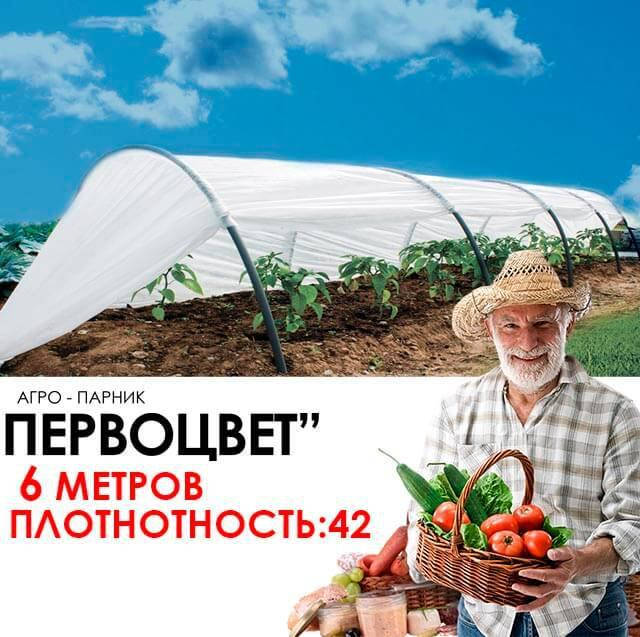 

Парник 6 м 42 щільність (первоцвіт), Белый