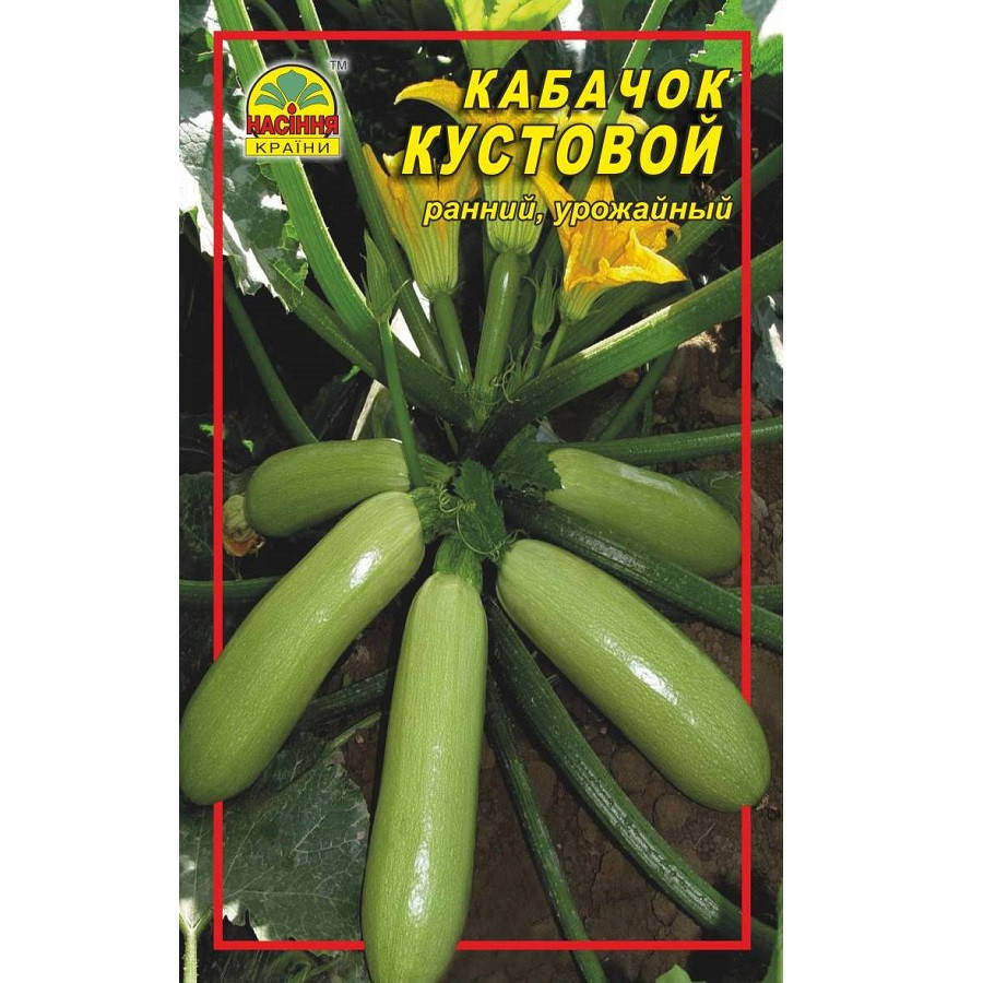 

Семена кабачок Кустовой - 10 г