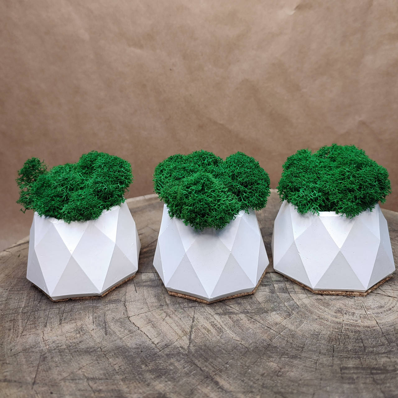 

Набор из 3-х кашпо со стабилизированным мхом, Белый