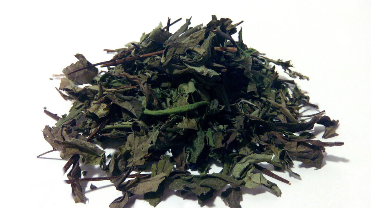 

Медуница лекарственная трава