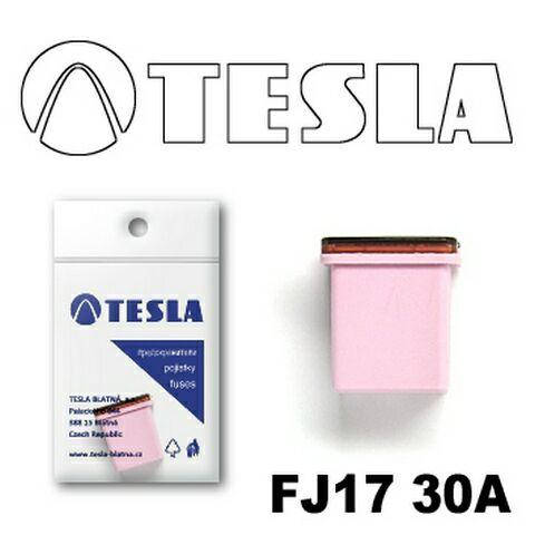 

Предохранитель TESLA FJ17 "CARTRIDGE" 30A