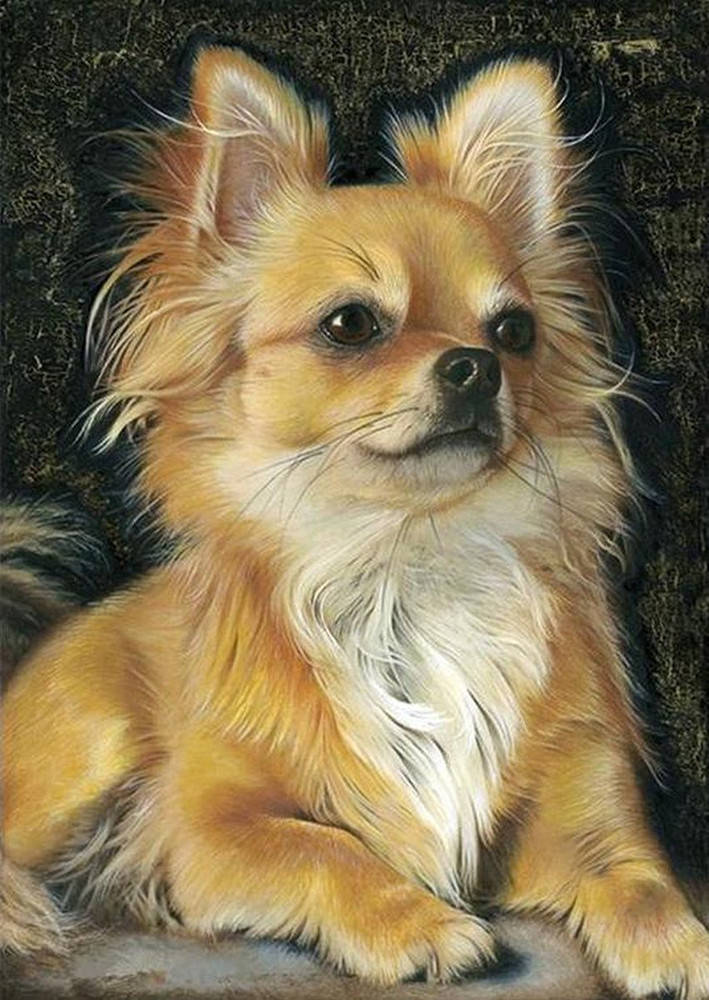 

Алмазная Мозаика Чихуахуа Набор Вышивка Камнями DIY-A694 30x40 см (Полная Выкладка)