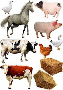 

Вафельная картинка Животные А4