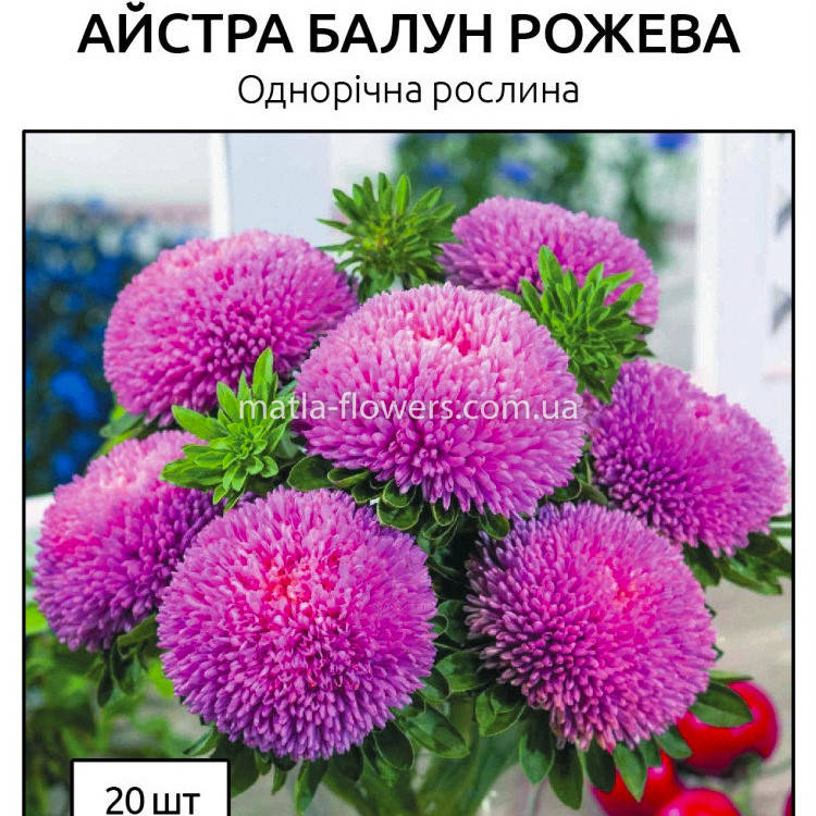 

Семена Астра Балун розовая 20 шт, Розовый
