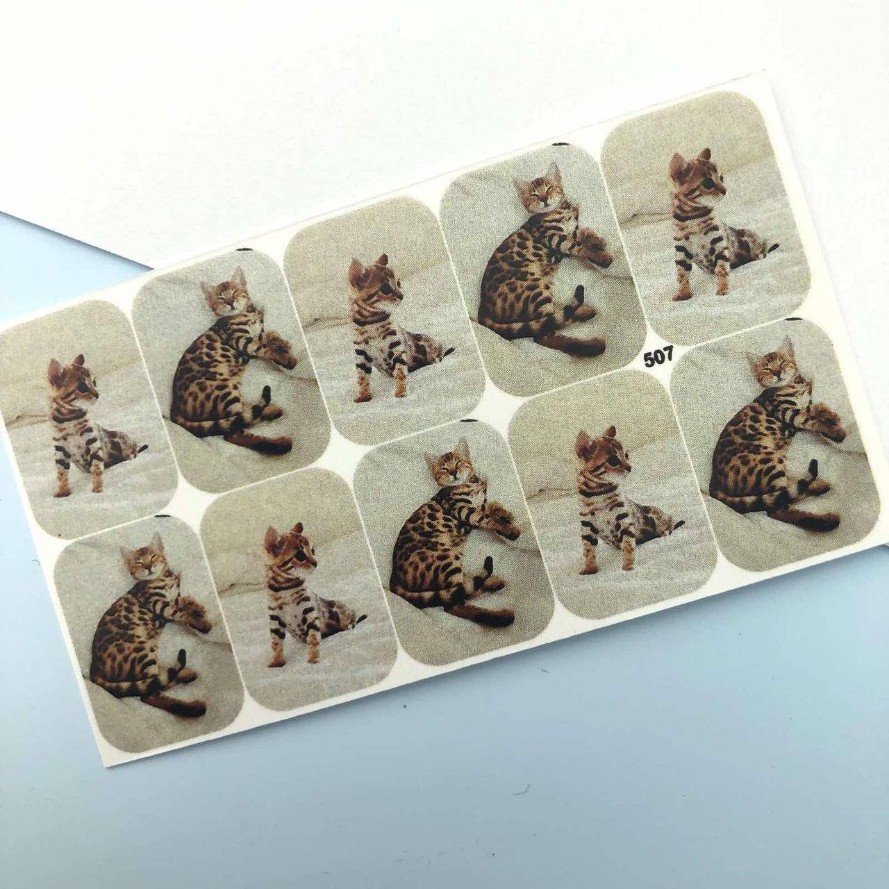 

Слайдер-дизайн 507