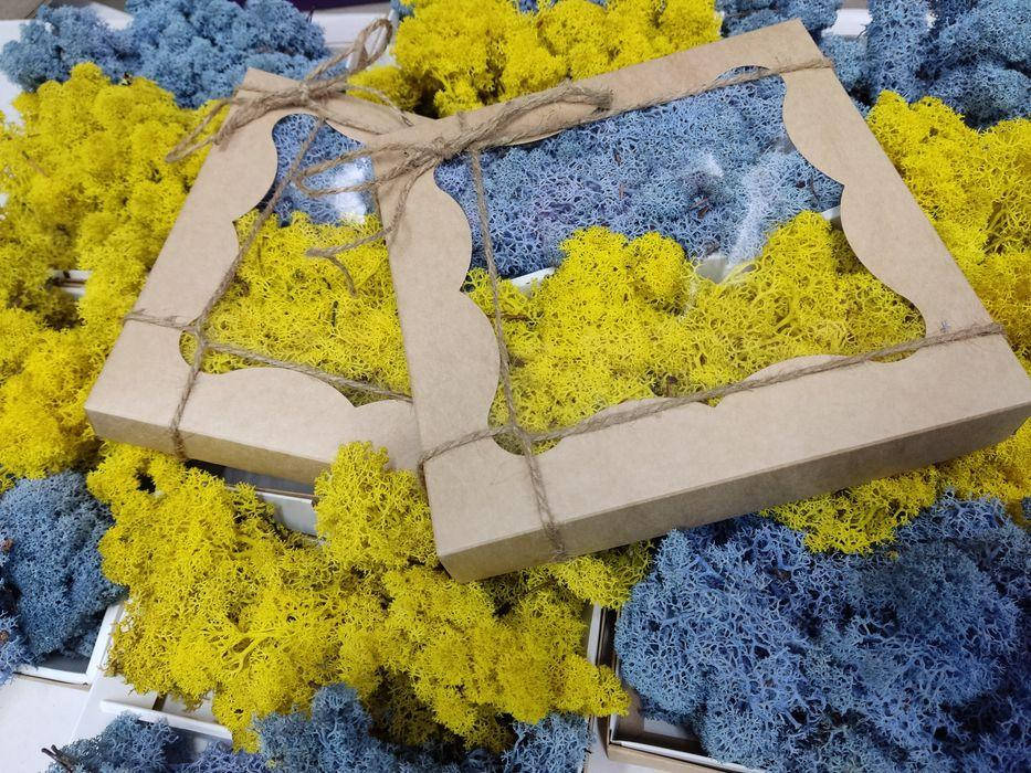 

Норвежский мох ягель Стабилизированый для декора набор 2 цвета