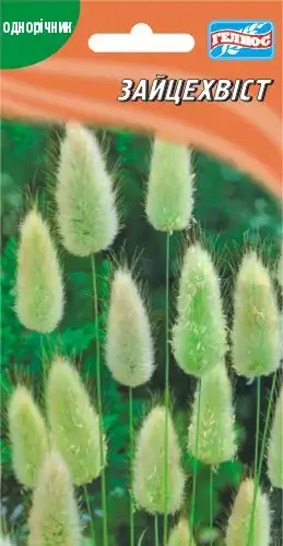 

Насіння Зайцехвіст 0,1 г