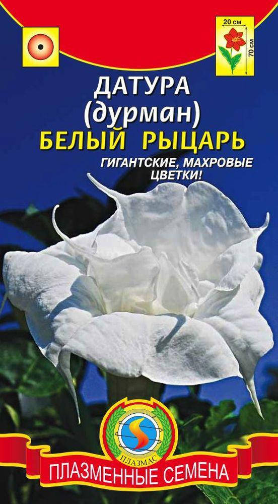 

Датура (Дурман) Белый рыцарь 3 шт (Плазменные семена)