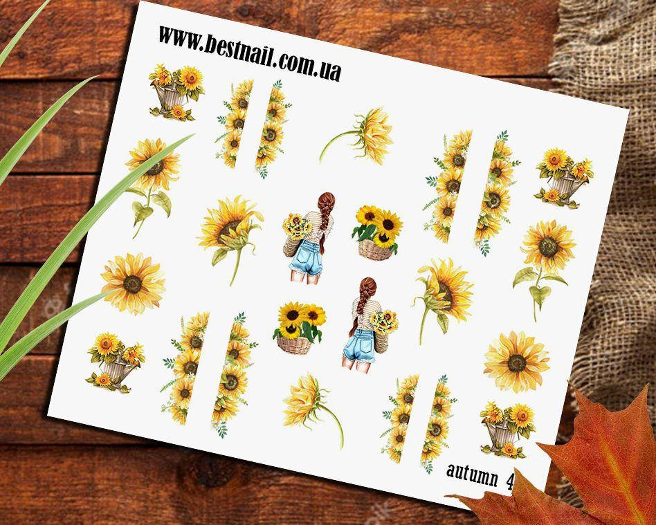 

Слайдер-дизайн Autumn 4