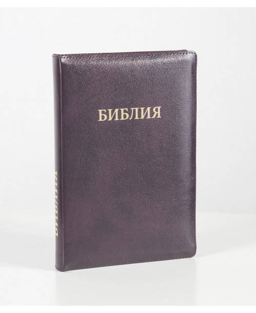 

Библия 077 (Индексы, замок, кожа, золотой срез) синод. перевод