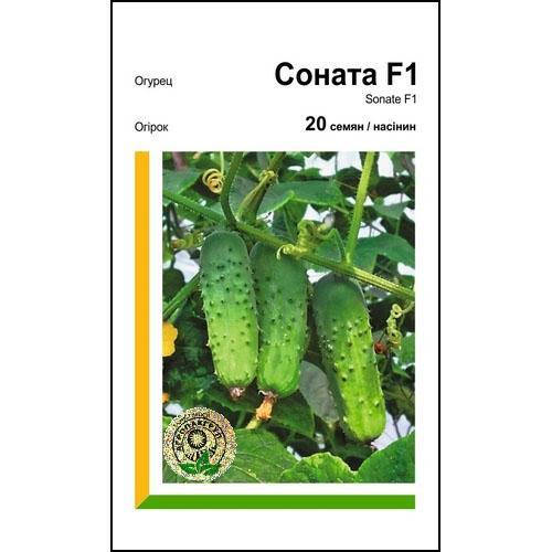 

Семена огурца Соната F1 20 сем., Rijk Zwaan, Голландия