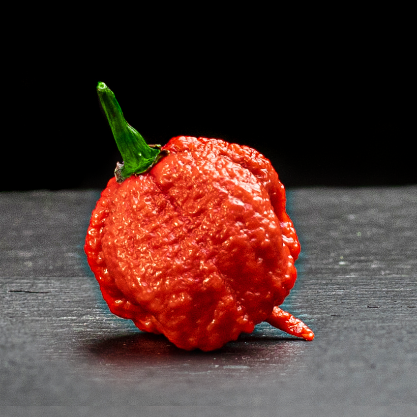 

Семена перца Каролина Рипер (Carolina Reaper) красный (red)