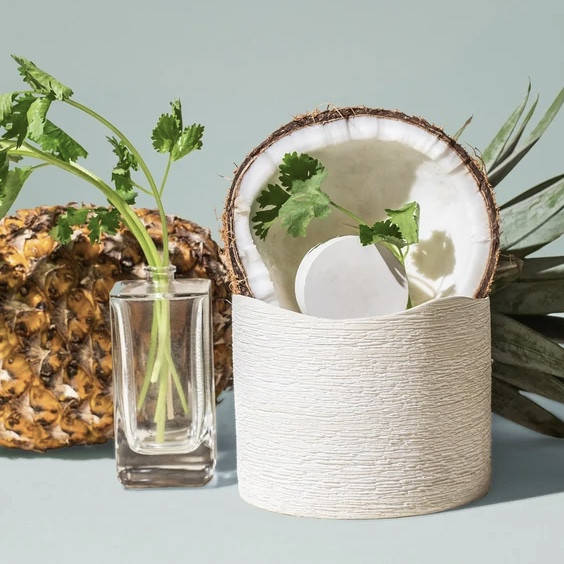 

Cilantro + Dark Coconut / Кинза и темный кокос, 10 г