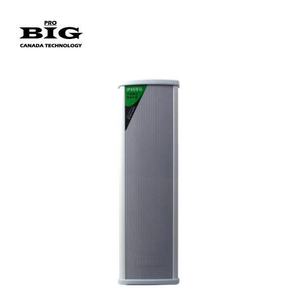 

Гучномовець BIG SH50