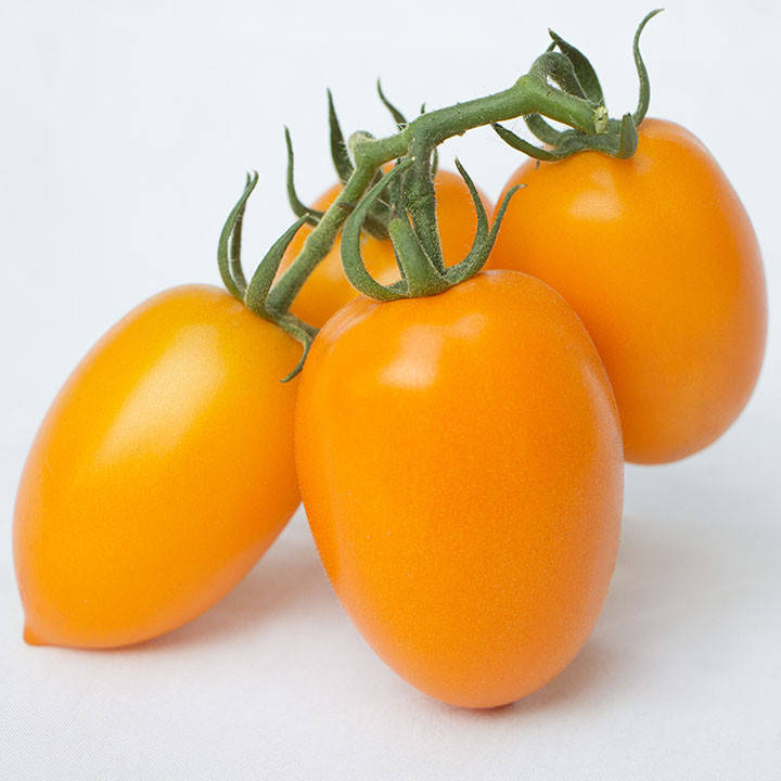 

Семена Томат индетерминантный KS 1430 F1 поштучно 10 семян Kitano Seeds
