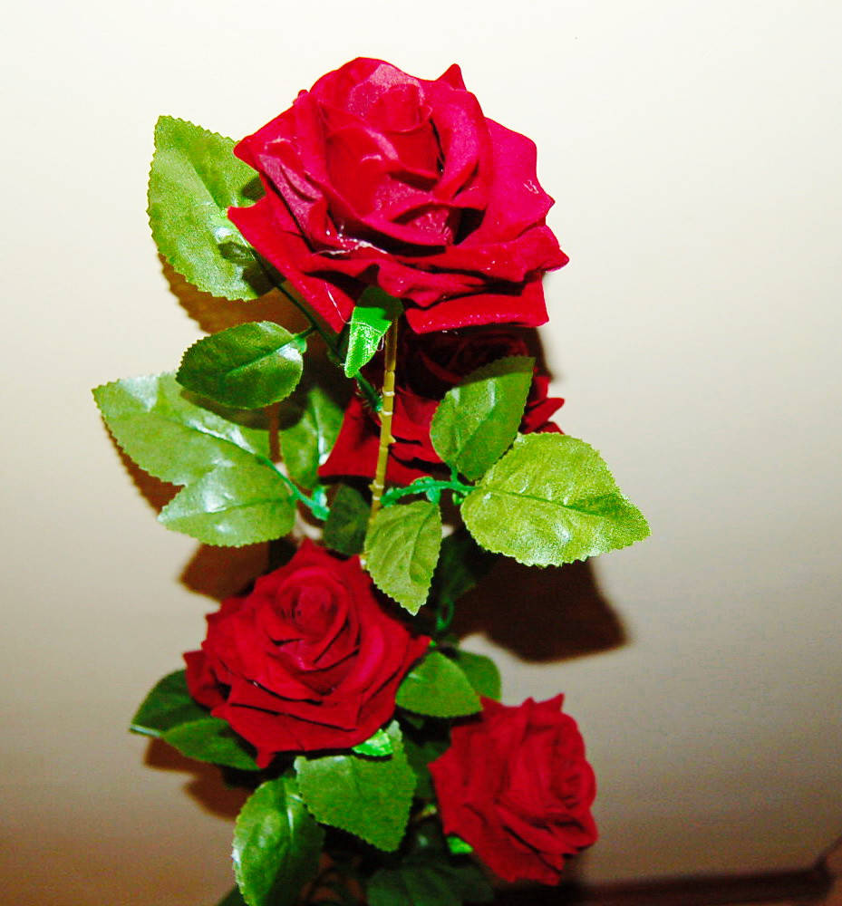 

М-468 Ветка розы бархатной 5 голов 110х11см