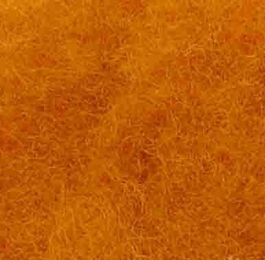 

Кардочес новозеландський