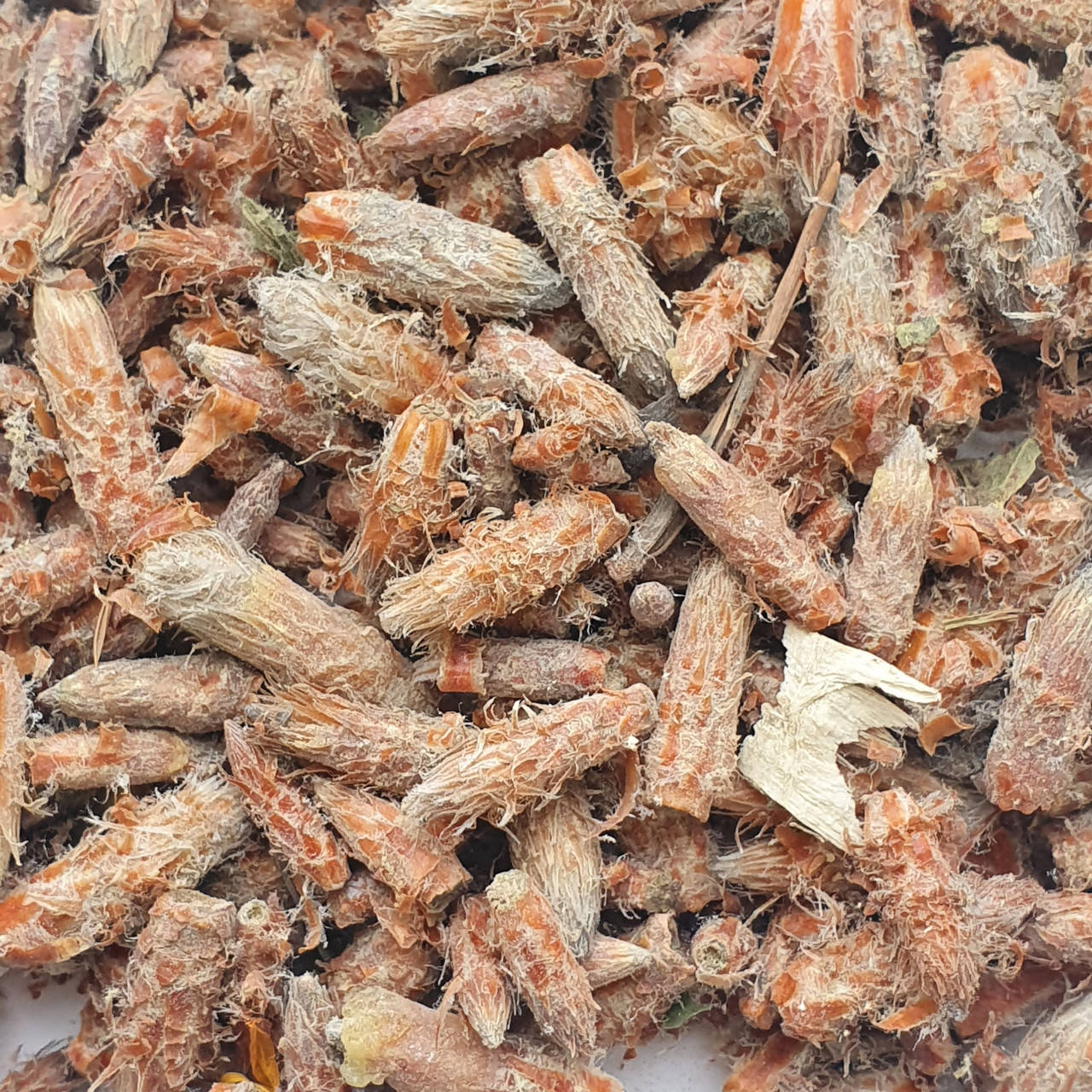 

Сосна (почки) 50 гр (Свежий урожай)