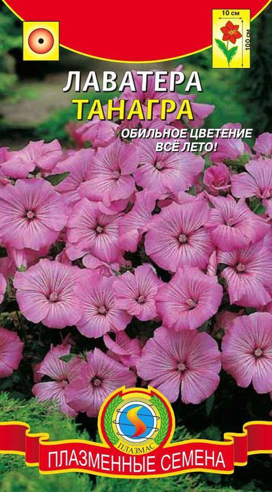 

Лаватера Танагра 0,3 г (Плазменные семена)