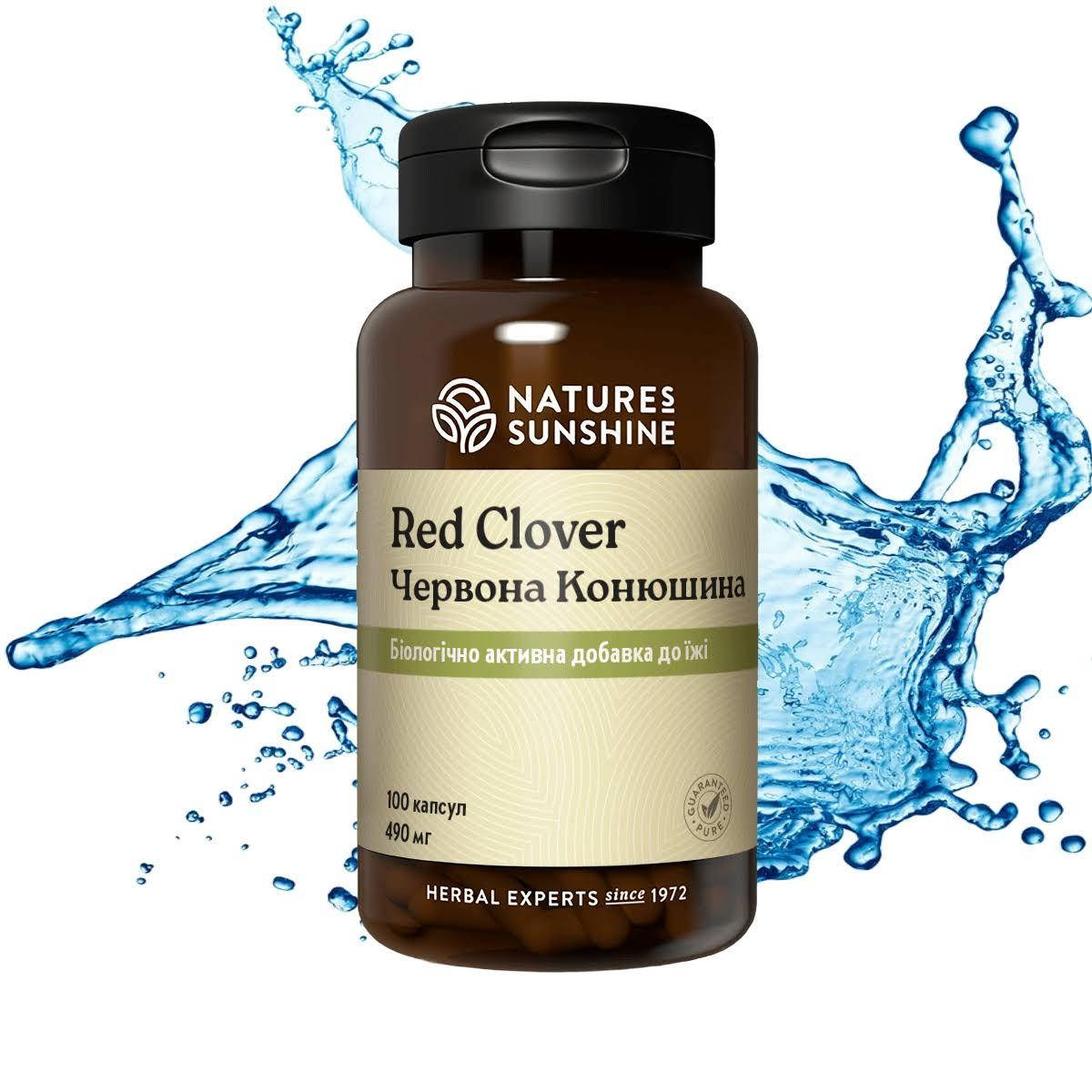 

Красный Клевер (Red Clover) NSP Биологически Активная Добавка