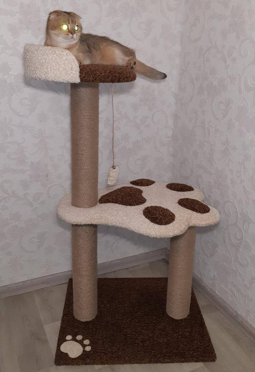 

Комплекс когтеточка царапка для кошек и котят без домика