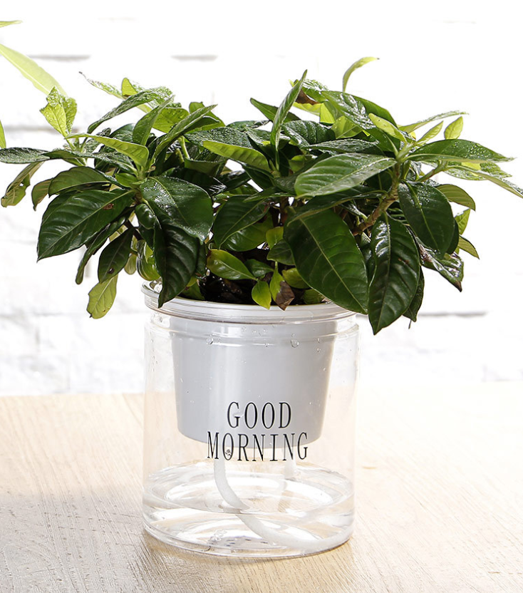 

Кашпо OLens Good morning DL21022594 10х11.5 см