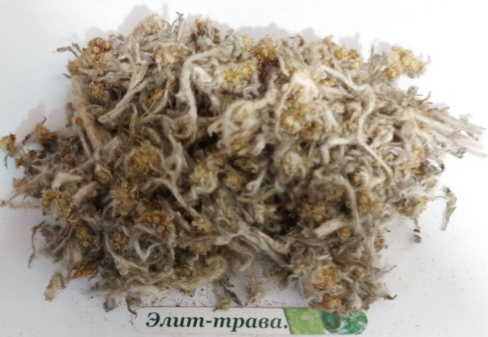 

Сушеница топяная 100 г Свежий урожай