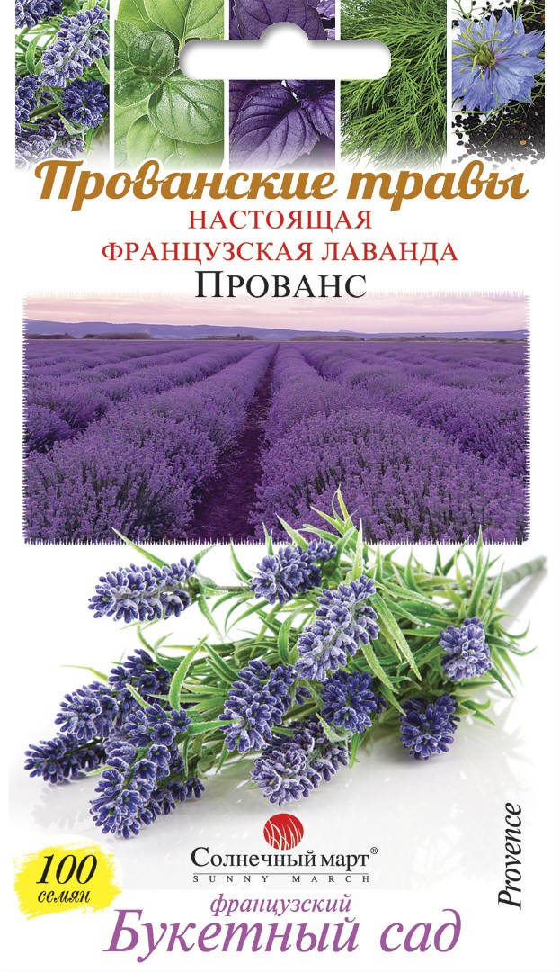 

Лаванда Прованс, 100шт