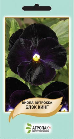 

Семена цветов Виола Витрокка Блек Кинг 0,1г. Агропак плюс, Черный