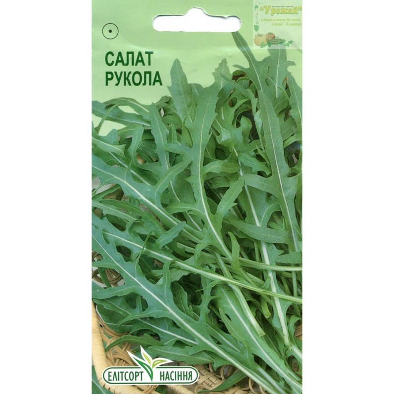 

Семена салат Руккола, 0,5 г, Зелёный