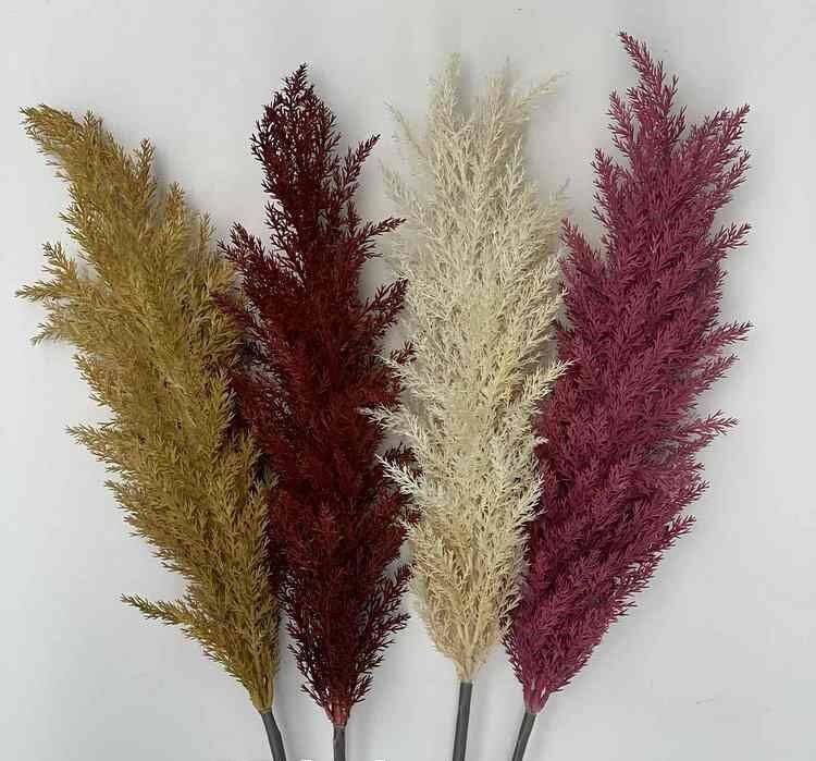 

Пампасная трава