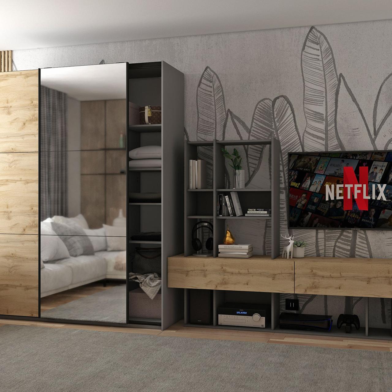 Шафа купе Doros G-Caiser Графіт Дуб Евок 1 ДСП / 1 Дзеркало 160х60х240 (42005072) 6