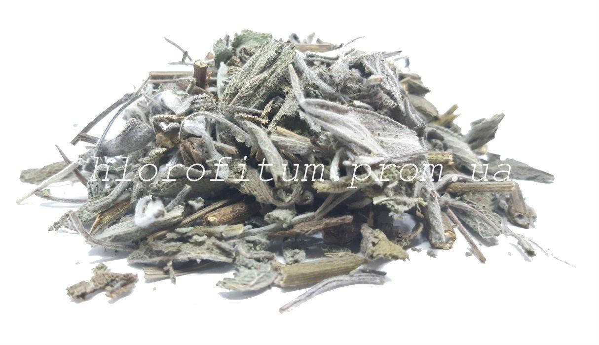 

Шалфей лекарственный листья 100 грамм (Salvia officinalis)